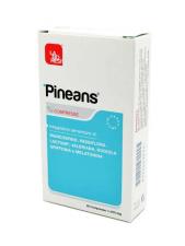 PINEANS 20 COMPRESSE