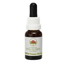 WILD POTATO BUSH AUSTRALIAN 15 ML