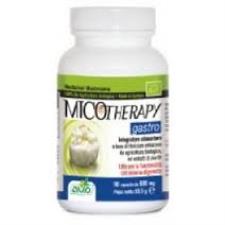 MICOTHERAPY GASTRO 90 CAPSULE FLACONE 53,50 G