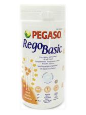 REGOBASIC POLVERE 250 G